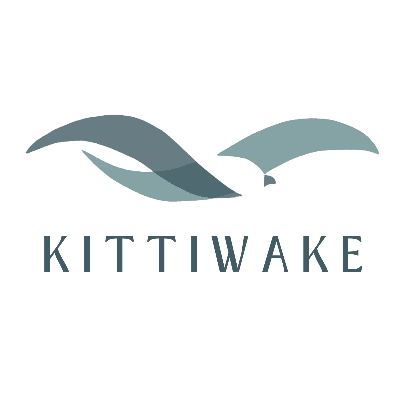 Kittiwake