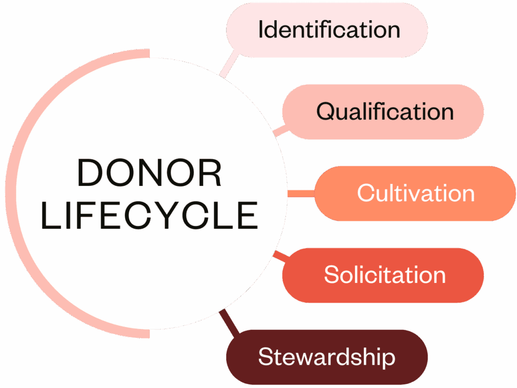 Donor lifecycle blog graphic